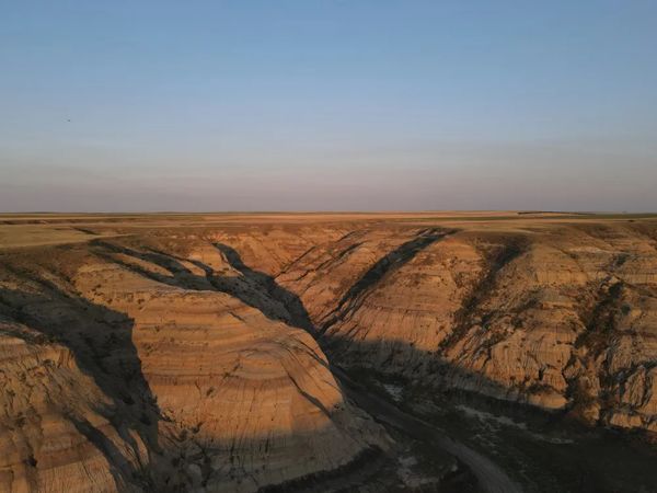 Key fossil-bearing outcrops that have previously suffered from