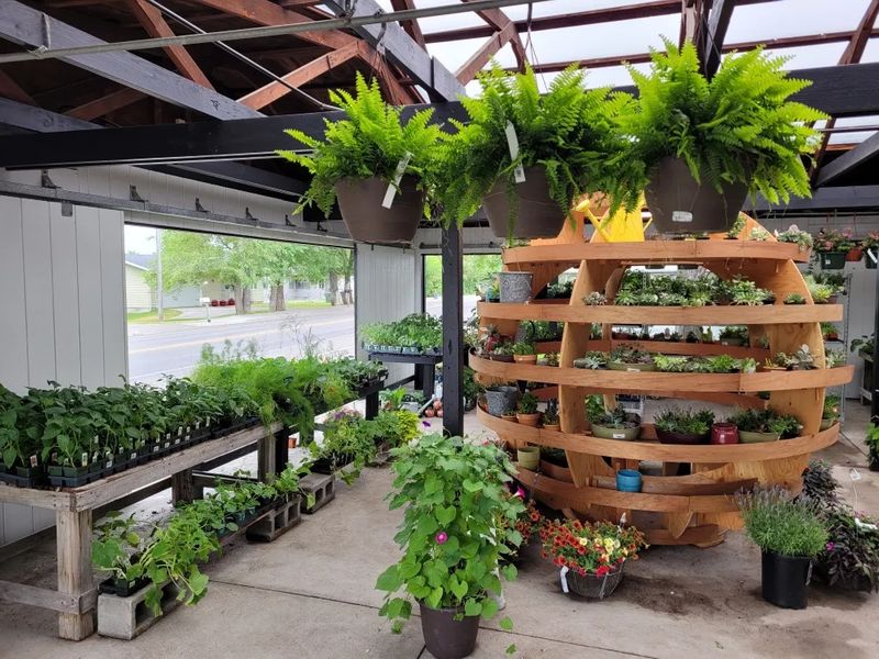 An Enchanting Experience At Roots Garden Center