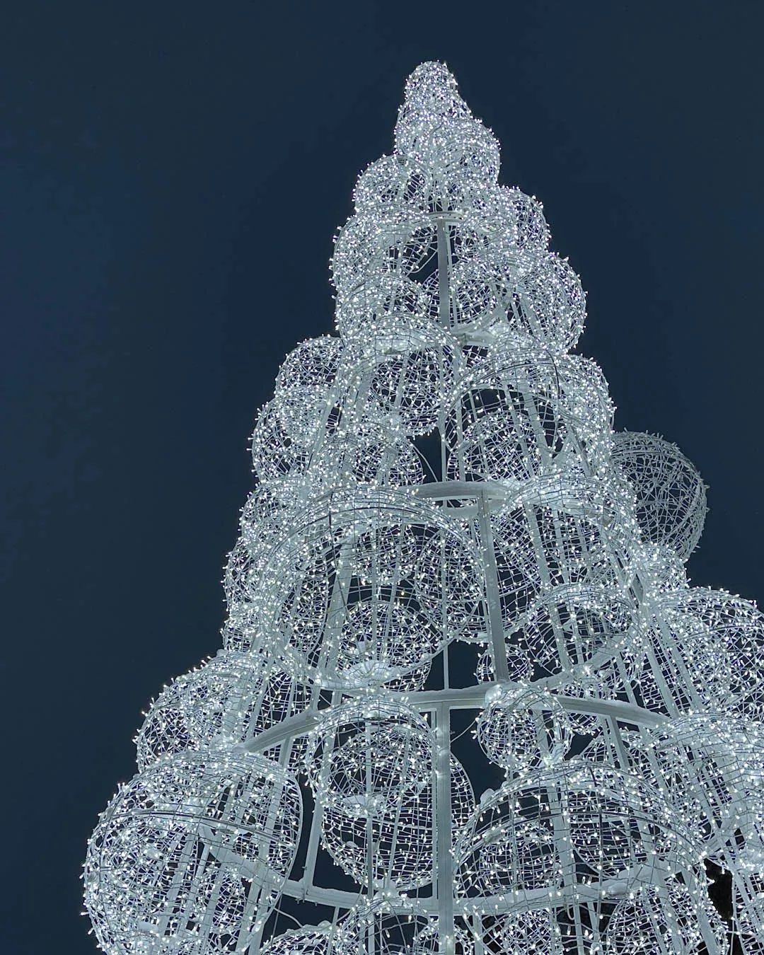 Holiday Nights at ZooMontana Ranks 4 on USA Today's 2023 List of 10