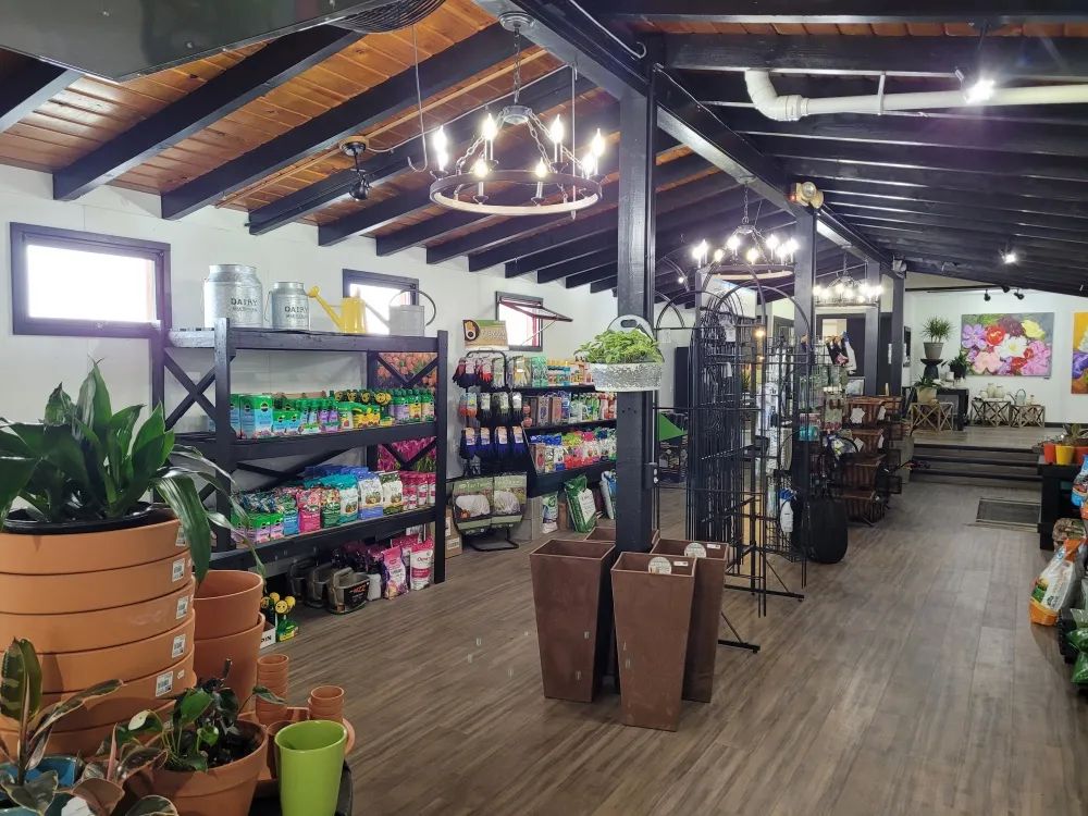 An Enchanting Experience At Roots Garden Center