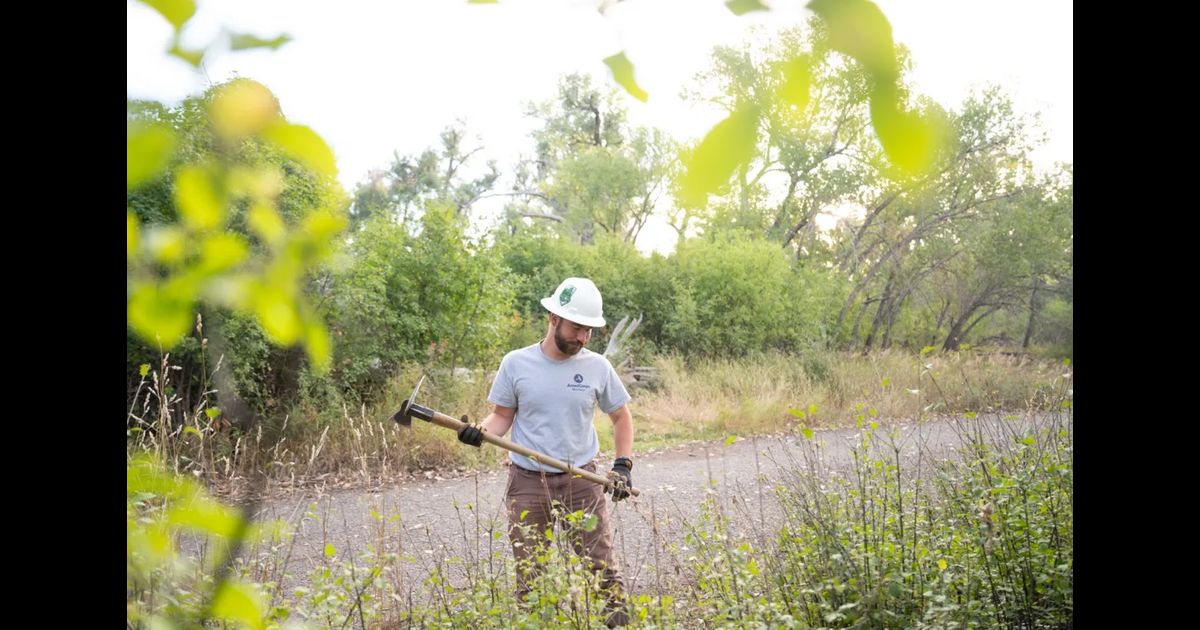 Dressander Engages Billings Residents Through Urban Forestry Work