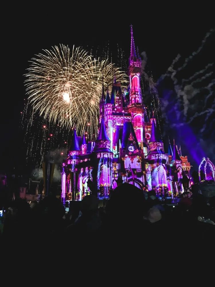 Walt Disney World: Where Dreams Come True