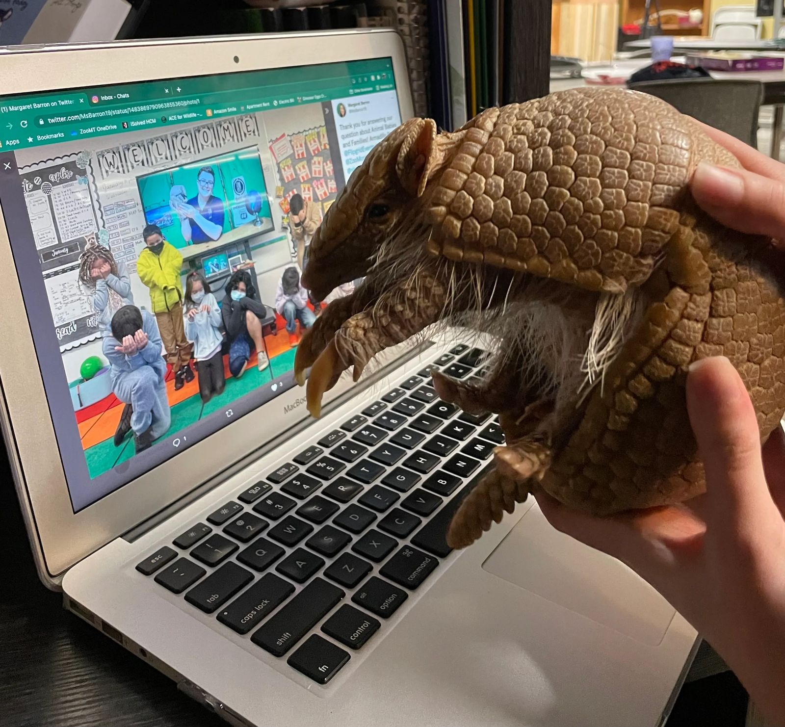 ZooMontana Receives Anonymous 333,000 Donation Earmarked for Education