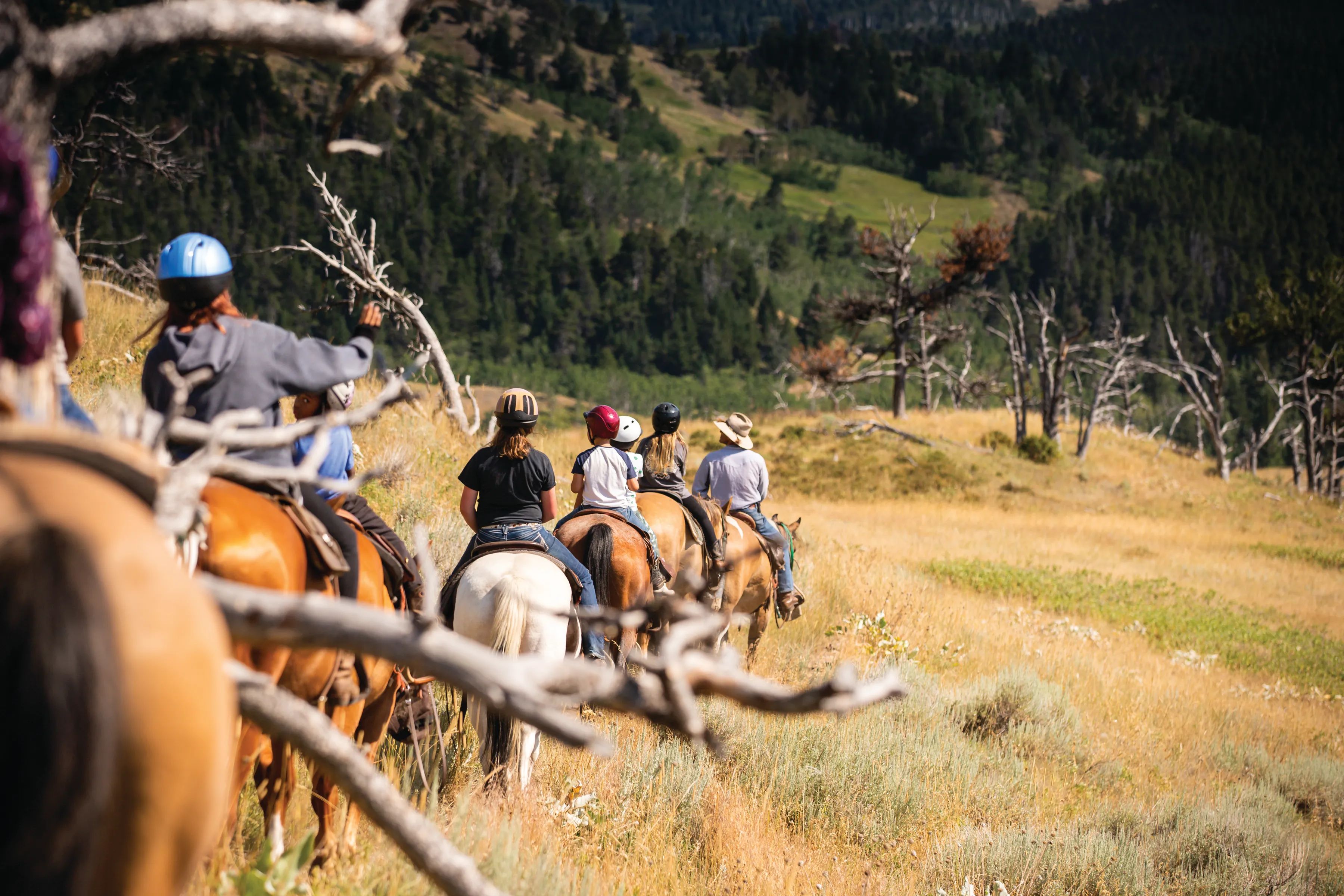 HOPE RANCH A Montana Sanctuary with a Global Mission